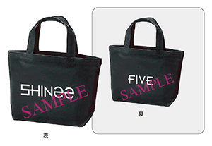 five_tower_A_bag.jpg