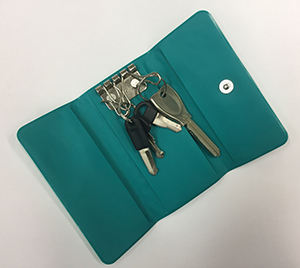 sw2017_fc_keycase-use.jpg